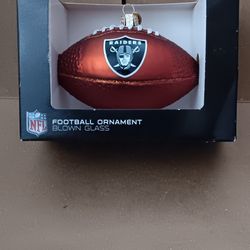 RAIDERS