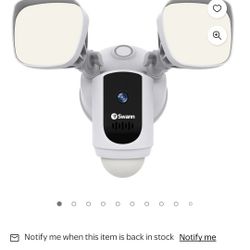 Swann Motion Light With Camera