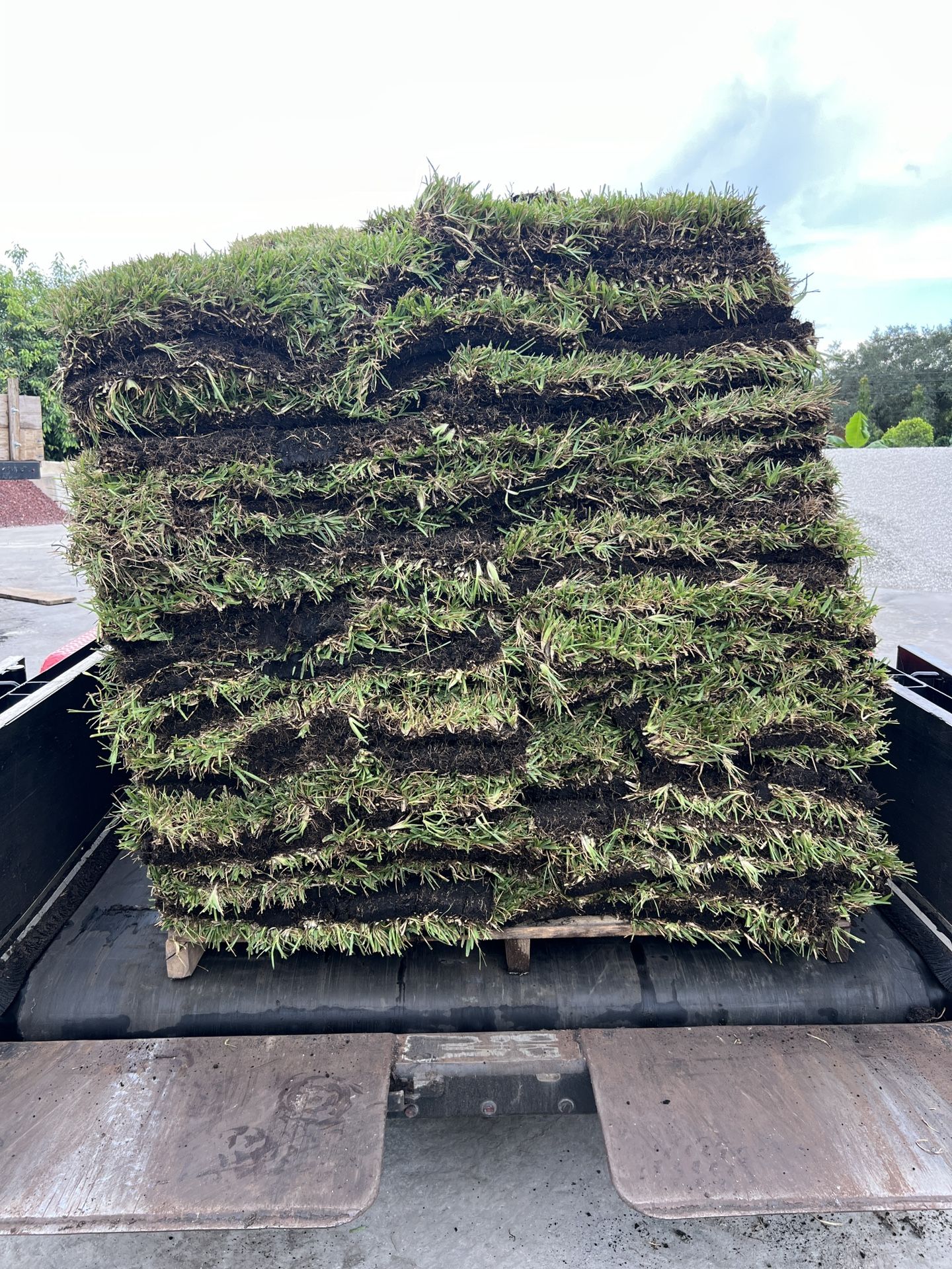 Pallets Of Sod (grass) On $ale
