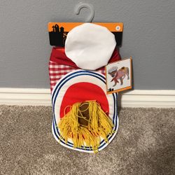 Dog Halloween costume 