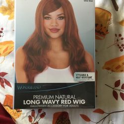 Long Wavy Wig
