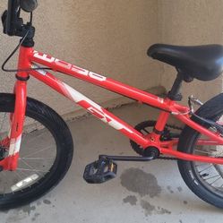 GT BMX Kids Bike I Believe It's 18.5 Inch Frame