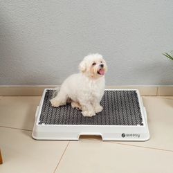 Dog Smart Potty Weasy