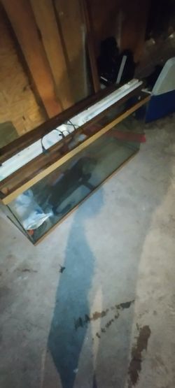 Fish Tank 