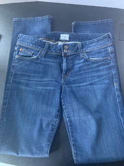 Hudson Jeans / denim pants