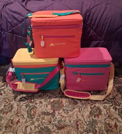 Lunch  Bag or 12 pack holder