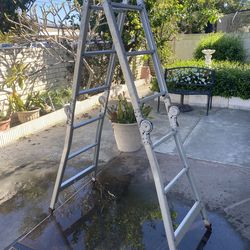 Folding ladder