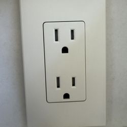 Lutron Receptacle 