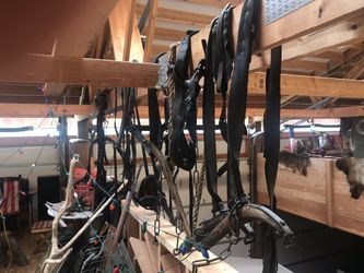 Old Team Horse Harnesses For Rustic Decor