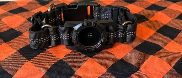 Dog collar with air tag collar