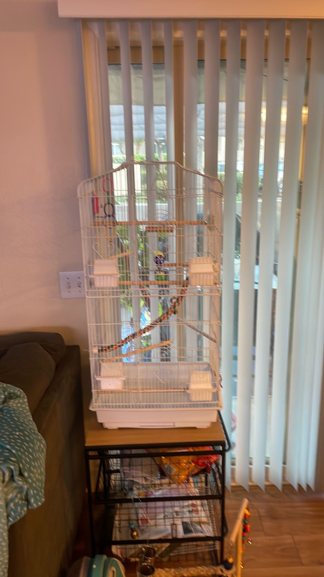 Birdcage