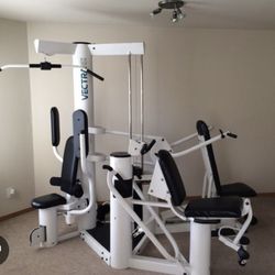 Vectra On Line 1850 Home Gym for Sale in Seattle WA OfferUp