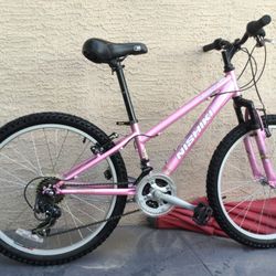 Bike 24”