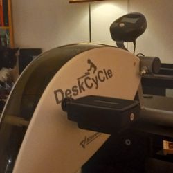 DeskCycle Exercise Bike