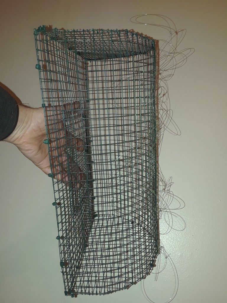 Bal-Chatri Noose trap for Red tail & Harris hawk size birds