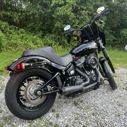 2019 Harley Davidson Street Bob 107