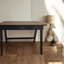 Modern Desk / Console Table 