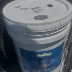 BM Exterior Regal Soft Gloss Bronzetone 