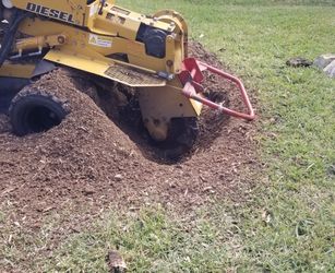 Stump grinder Removal
