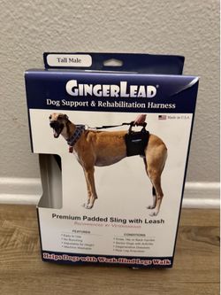 Dog support and rehabilitation Pet harness