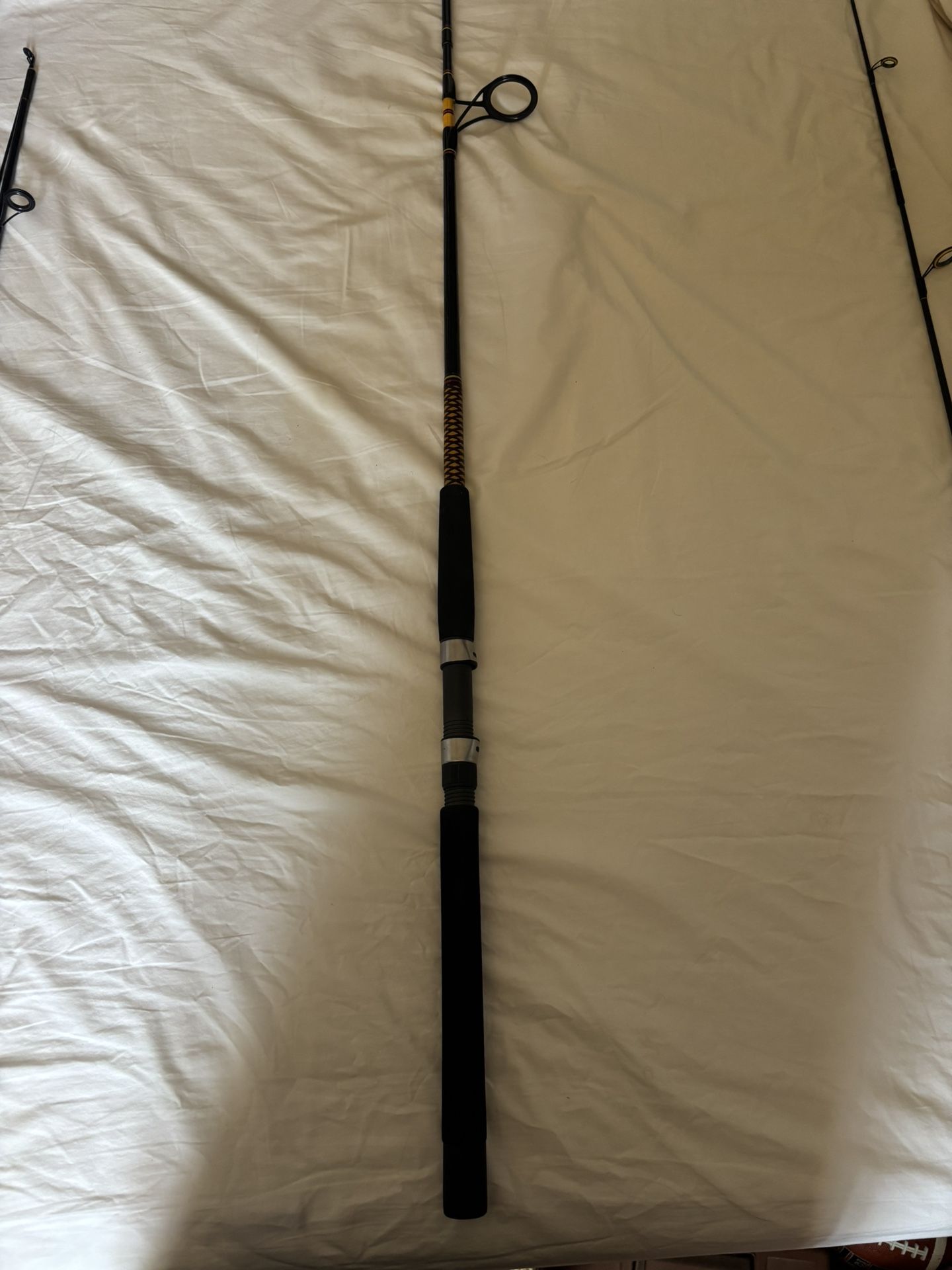 Ugly Stik Bigwater Fishing Rod