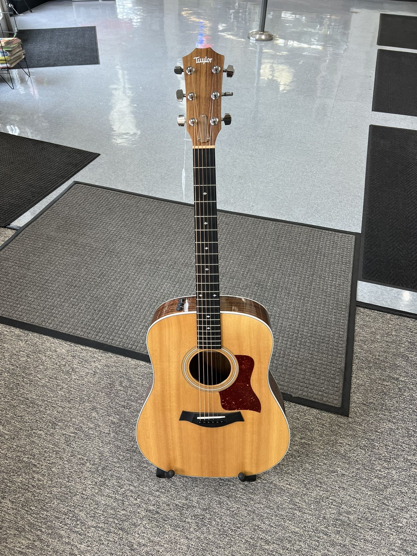 Taylor Electric/Acoustic Guitar (210E DLX)