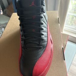 Jordan 12 Flu Game