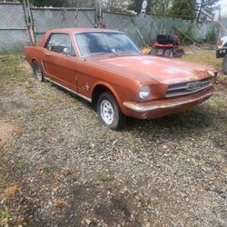 Mustang Project Car