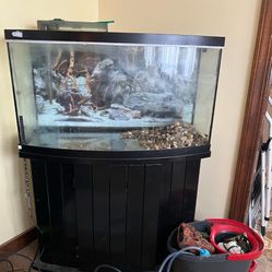 FREE NEED GONE TODAY!!!