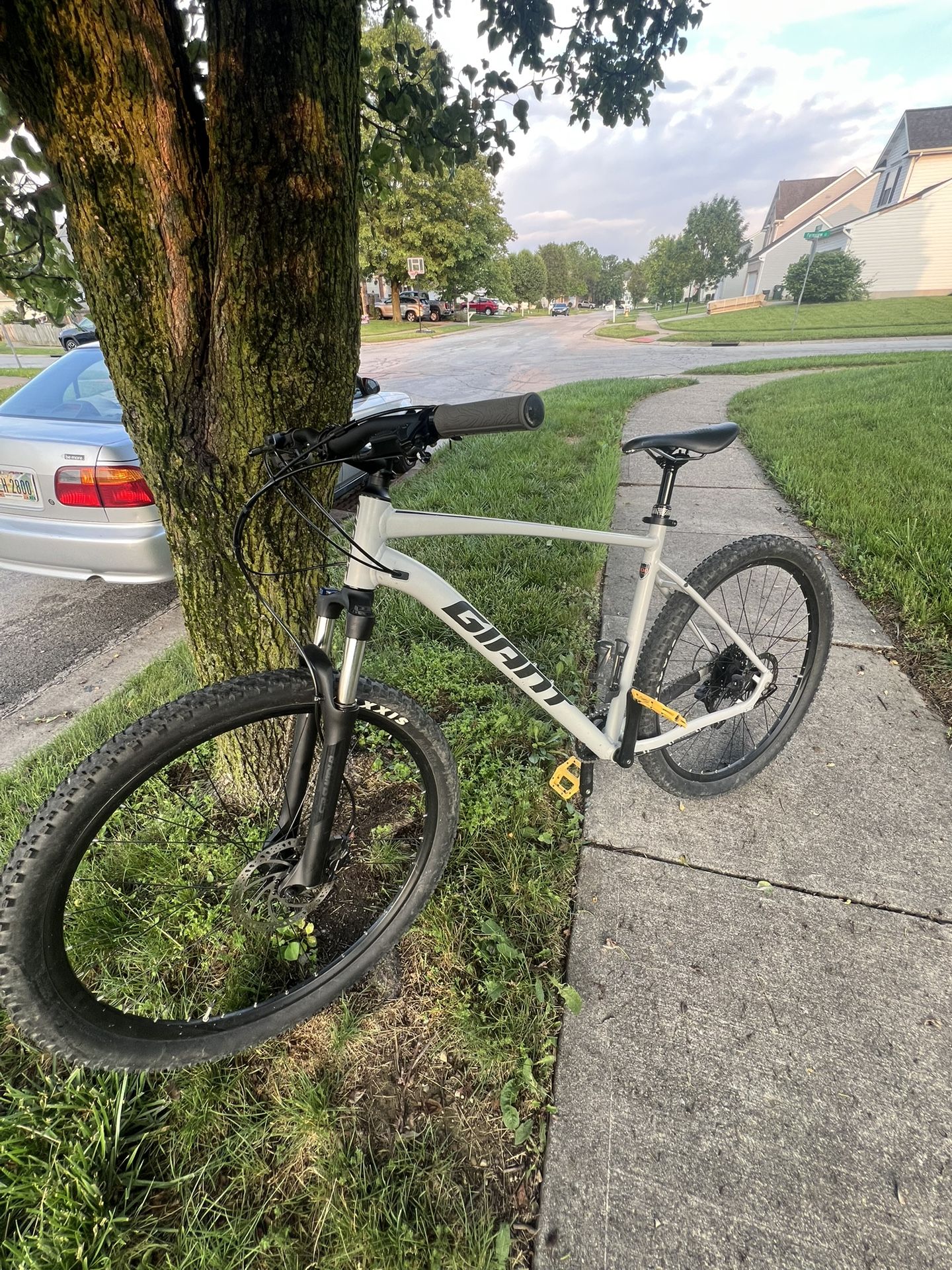 Giant Talon 2 Lg Frame 29”wheels