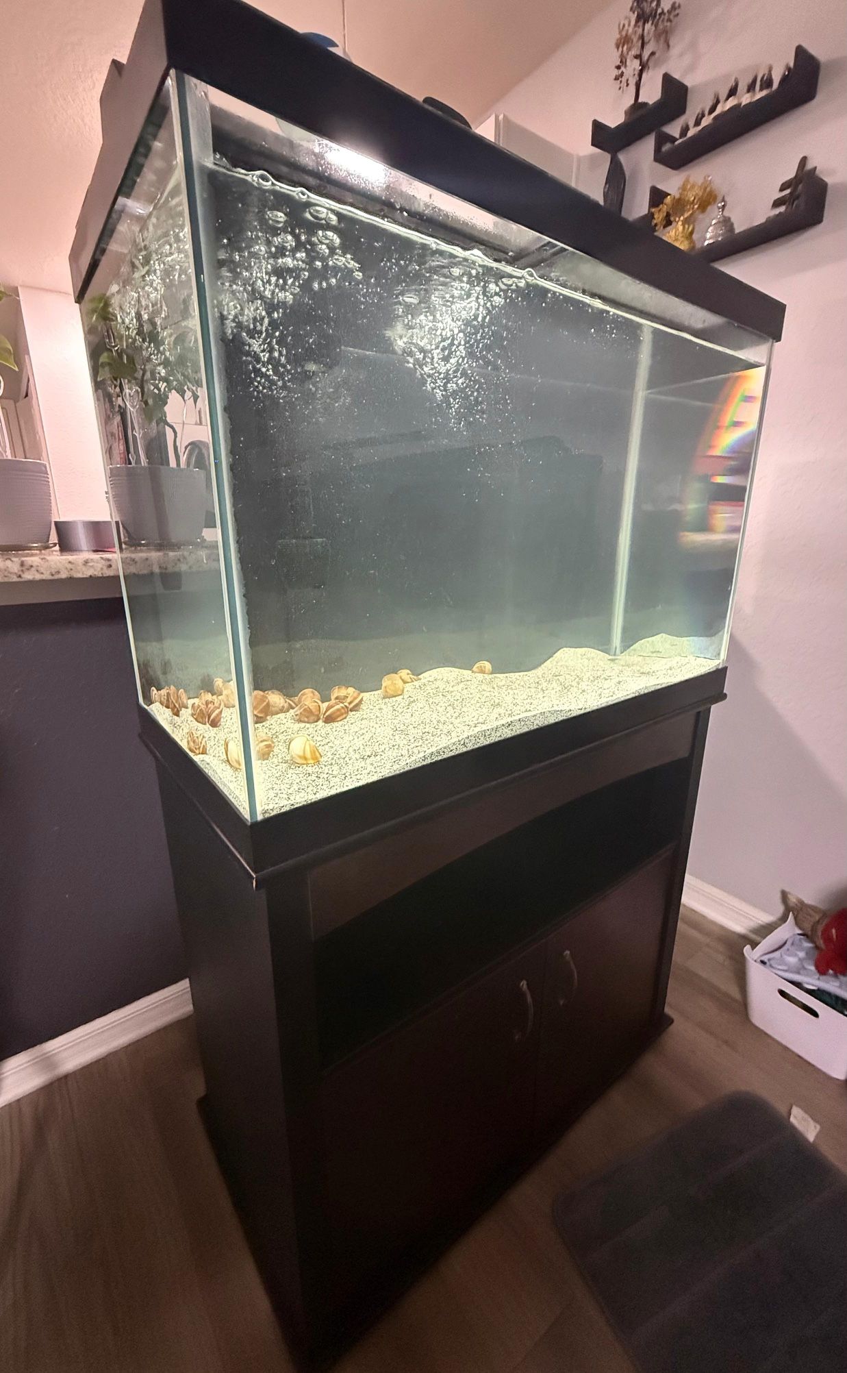 Aquarium 65 Gallons