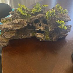 Aquarium Decorations 