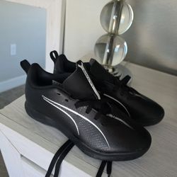 Clean Puma Ultra Black Shoes