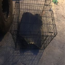 Dog Crate 