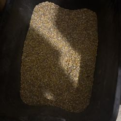 Chicken Scratch Food Mix W/whole Corn 