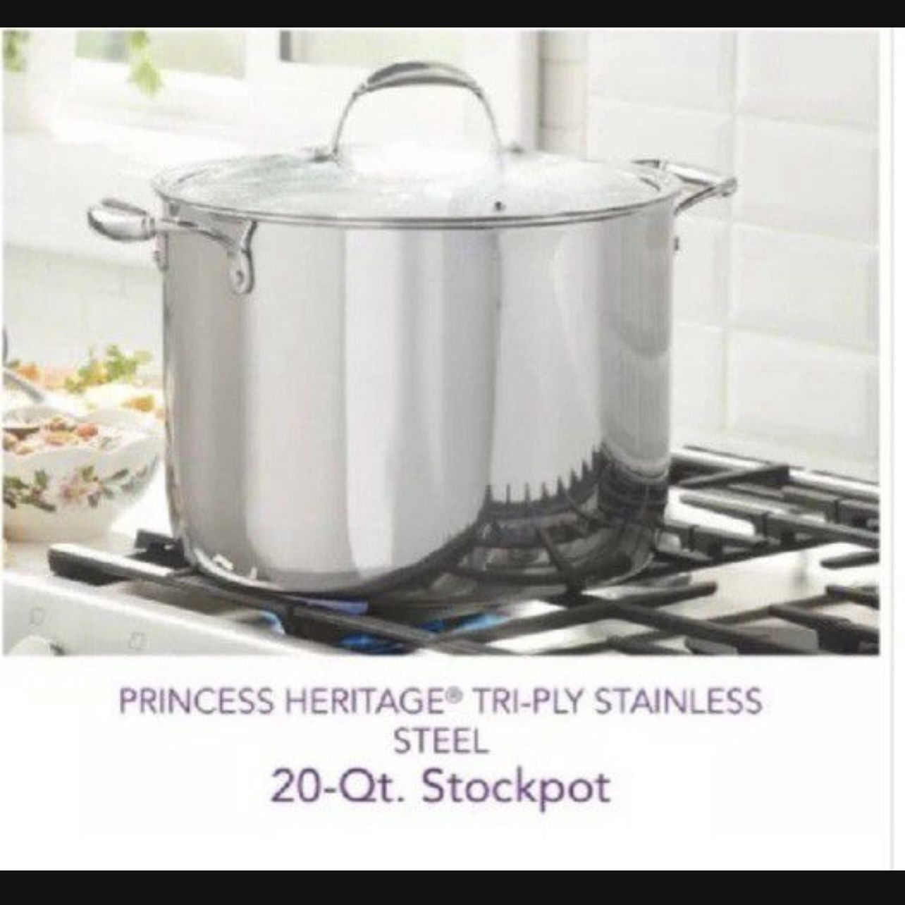 Princess House Olla De 20 Qt Triply