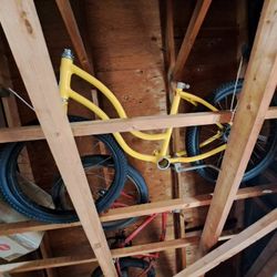 1950's SCHWINN Girls Bike