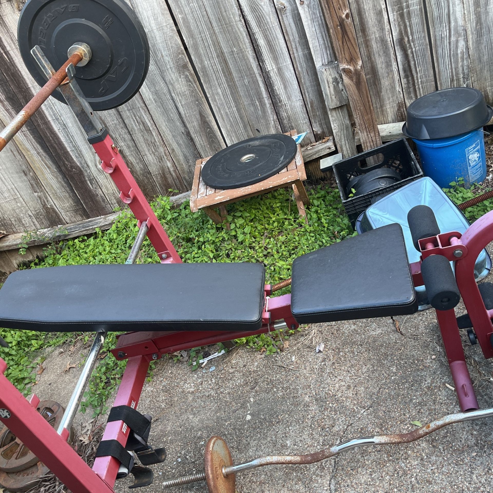 Bench Press