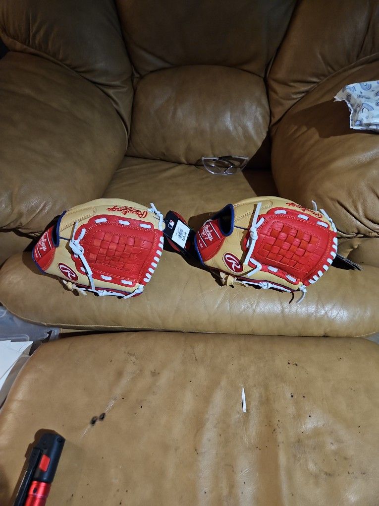 Two Baseball Gloves