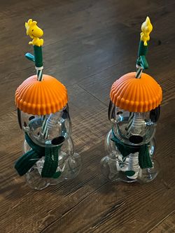 Starbucks Peanuts Snoopy Cold Cup Tumblers