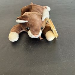 TY Beanie Baby Cat Named Pounce 