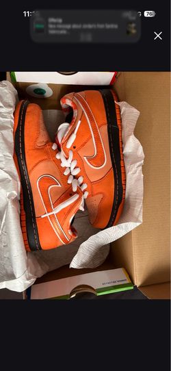 Orange lobsters