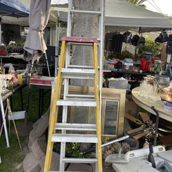 6 Foot Ladder