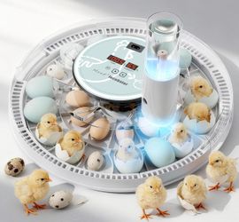 incubators for Hatching 28 Eggs,Independent atomizing humidifier, Auto Flip, Additional Equipped Well as Duck and Goose Egg Trays That can Hold 12 Egg