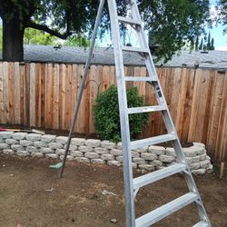 8' Foot Ladder