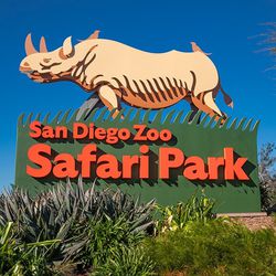 San Diego Zoo Ticket