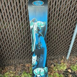 Vintage Snowboard