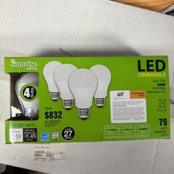 Sunrise & Broada LED Bulbs