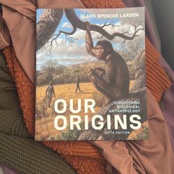 Our Origins 