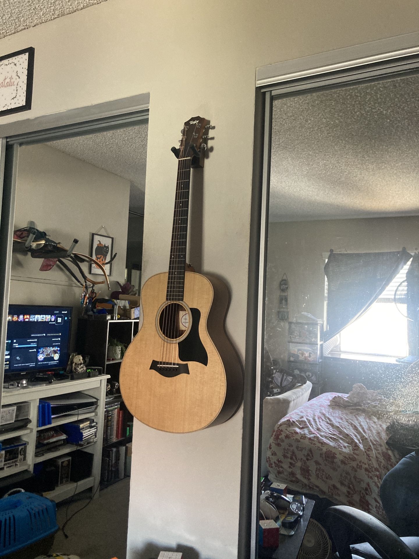 Taylor GS Mini